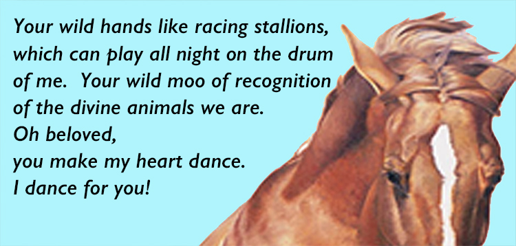 stallions